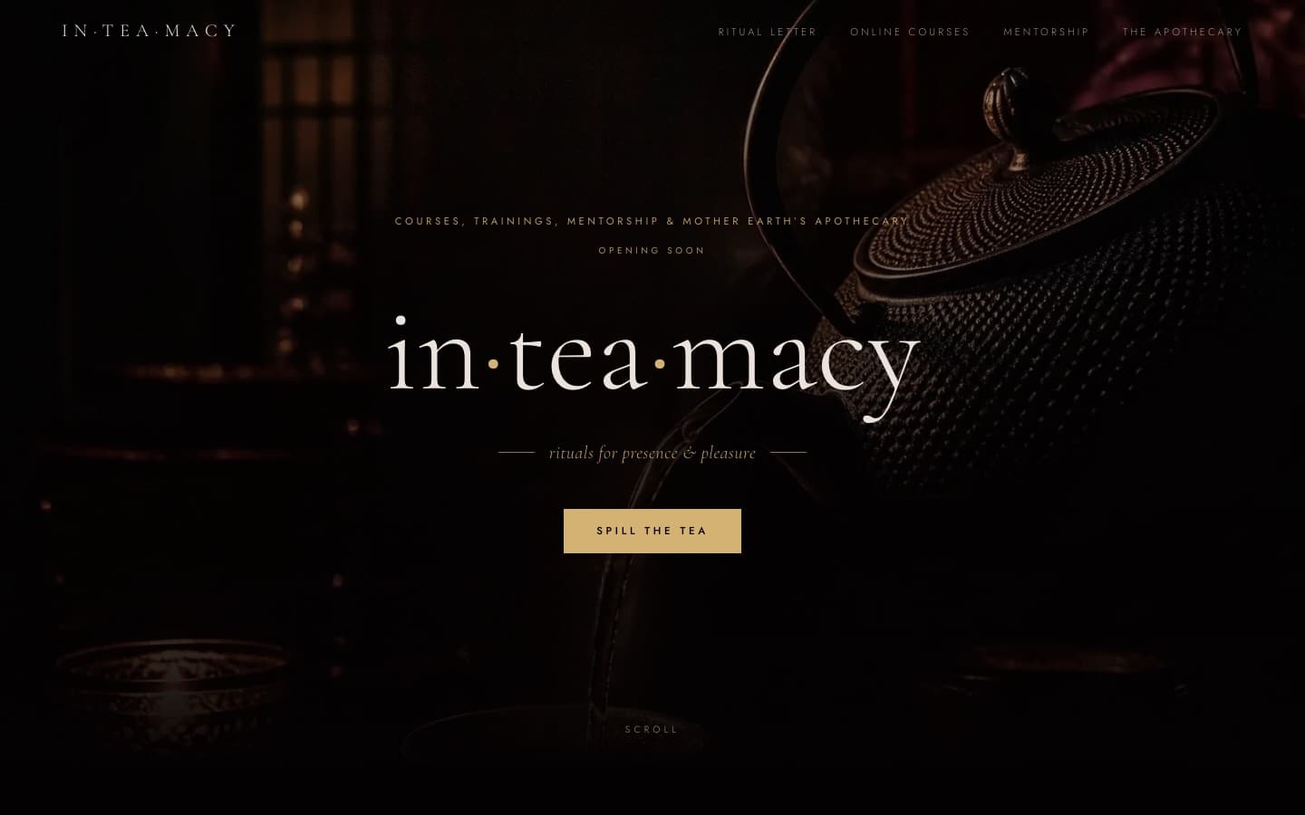 The inteamacy.com home page: the in·tea·macy name over a cast-iron teapot in a dark, candlelit room.